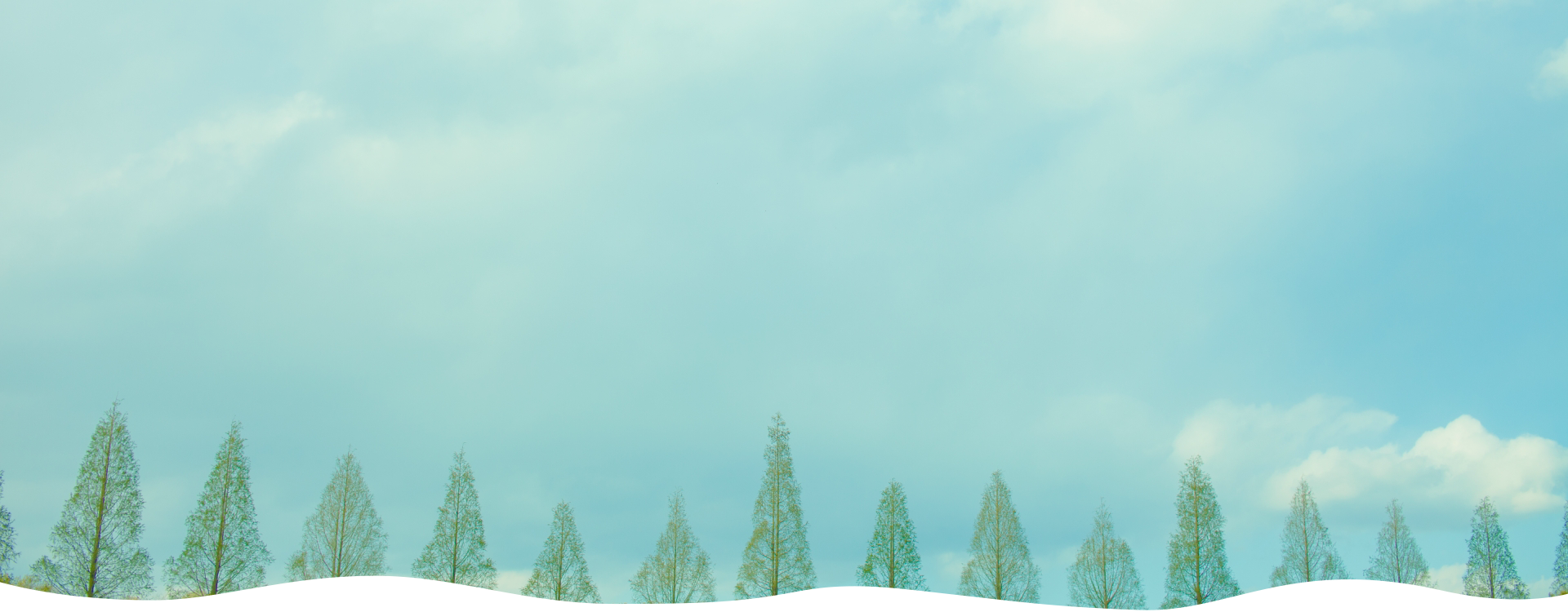 府中駅徒歩1分のまちこ皮膚科クリニックでは一般皮膚科 美容皮膚科を診療